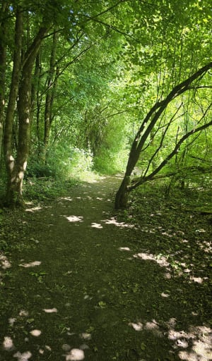 Terrils d'Haillicourt et balade entre nature et culture - Haillicourt - 14