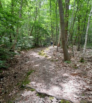 Joli parcours entre saint aubin Épinay et Franqueville - Angel - 4