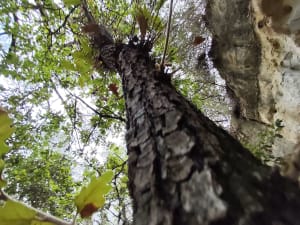 Zandgrottenwandeling - Piolenc - 10