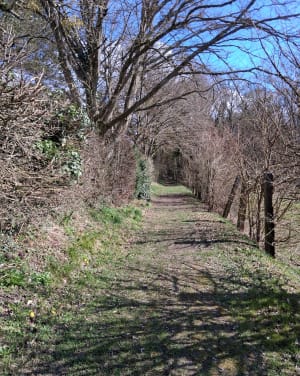 Autour du village de Septeuil - Septeuil - 3