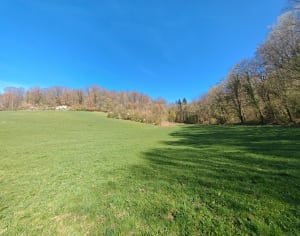 Plein d'oxygène et de vigueur sur les sentiers d'Elan - Elan (commune de Flize) - 8