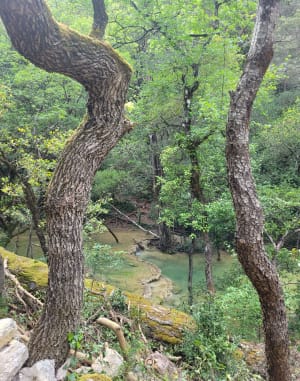 Sources de l'Huveaune - Nans-les-Pins - 33