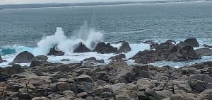 Grand tour de l'île de Batz et beauté de ses plages - Île de Batz - 74