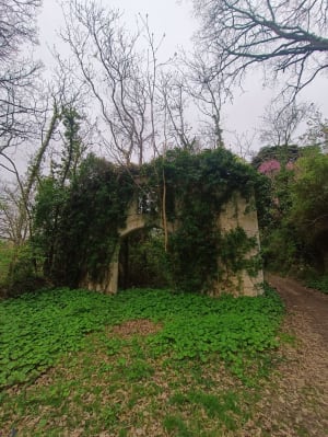 Saint-Amans (Castelculier) - ARNAUD - 9