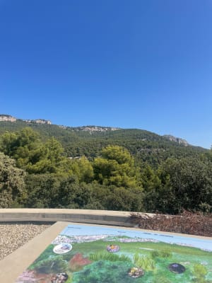 Oppidum Châteauvallon Ollioules par le télégraphe - Ollioules - 22