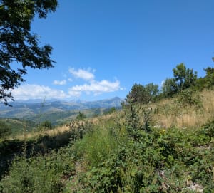 Randonnée à Molló au départ de A la Flama del Canigó : Découverte Catalane - magalie - 2