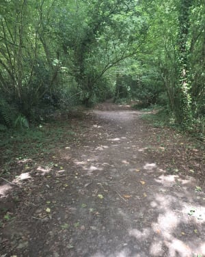 Cap ou pas cap à Sucé-sur-Erdre - Sucé-sur-Erdre - 4