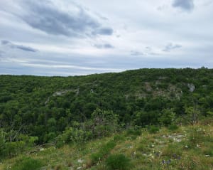 Boucle du faucon pèlerin - Messigny-et-Vantoux - 7