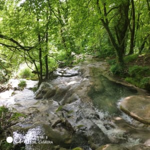 Cascade de Clairefontaine à Virieu-le-Grand - Virieu-le-Grand - 18