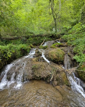 Charme de Saint-Hippolyte et balade envoûtante en forêt - Saint-Hippolyte - 4