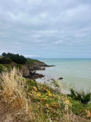 Rando à la Pointe du Grouin - Hillion - 9