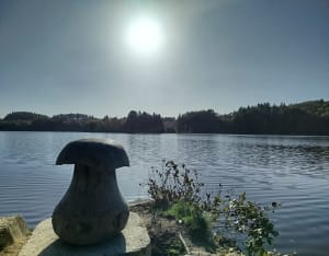 Belle balade au bord du Lac de Sèchemailles - Ambrugeat - 7