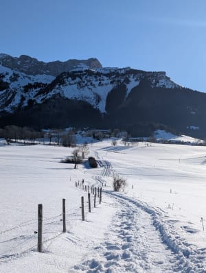 Centre Villard de Lans par Payonère - Villard-de-Lans - 2