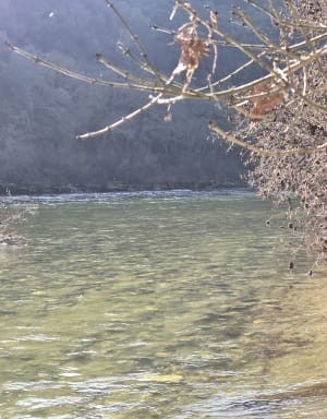Sentier de Gaud - Saint Remèze - 9