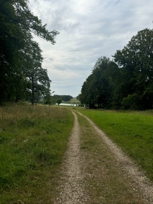 Boucle de Regnière-Ecluse et immersion verte - Bernay-en-Ponthieu - 7