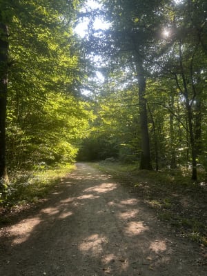 Parcours de santé Pulnoy - Emeline - 5
