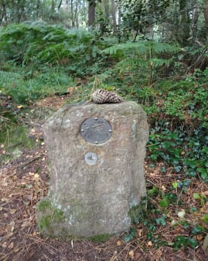 La fontaine de Barenton - Paimpont - 4