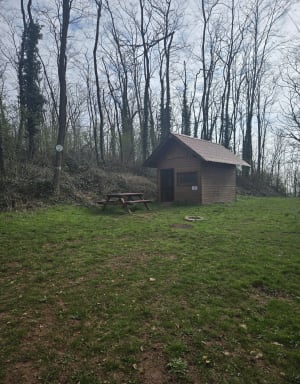 Tour du Wangenberg -Wasselonne - Wasselonne - 16