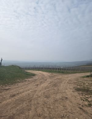 Tour du Wangenberg -Wasselonne - Wasselonne - 18