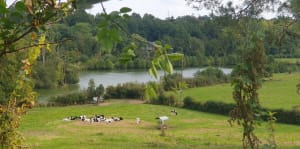 Rando par Chapelle d'Herponcey - Bois-Arnault - 9