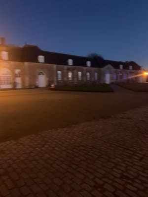 Avenue de Louis XIV et forêt du Pin-au-Haras - Le Pin-au-Haras - 2