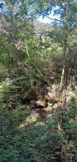 Balade à la source du Dourzon et préhistoire - Nant - 10