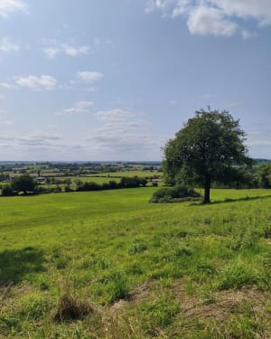 Mézidon Vallée d'Auge et virée champêtre au paradis - Mézidon Vallée d'Auge - 4
