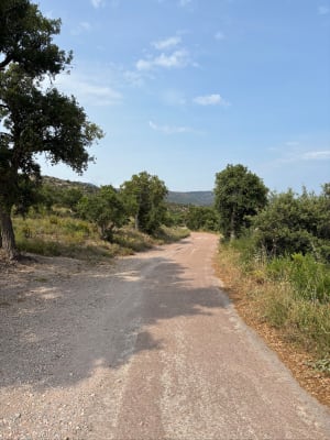 Tour dans l'Esterel - Isabelle - 4