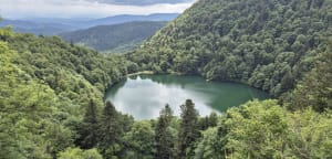 Lac des Perches et Grand Neuweiher - Alexis - 2