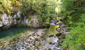 Découverte de la Bienne par Doye Gabet - Hauts-de-Bienne - 4