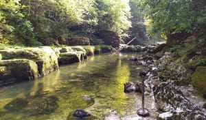 Découverte de la Bienne par Doye Gabet - Hauts-de-Bienne - 5