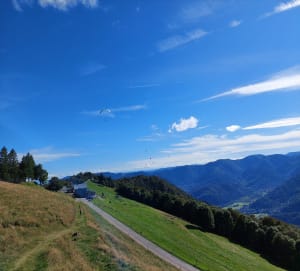 Belle balade au Markstein - Ranspach - 10
