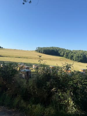Tour dans le sud-Morvan et authenticité sacrée - Saint-Léger-sous-Beuvray - 3