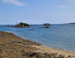 Pointe de Carantec et impressions tropicales - Carantec - 19