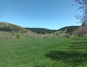 Pèlerinages lozériens et lac de Charpal - Monts-de-Randon - 5