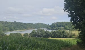 Quéven - Circuit du Scave au Scorff - Quéven - 12
