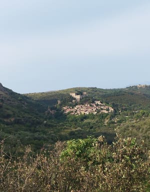 Rots van Mallorca - Castelnou - 6