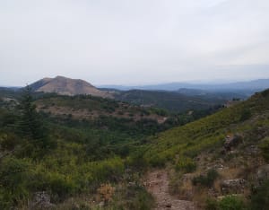 Rots van Mallorca - Castelnou - 8
