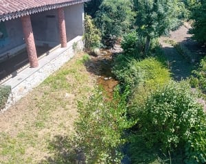 Forêt du bois d’Hatier et ses cours d’eau - Montbrison - 3
