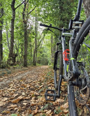 Chemin des loups et Valière à VTT - Argentré-du-Plessis - 2