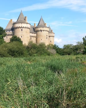 Rondleiding door het vogelreservaat Chateau de Suscinio - Kermoizan, Sarzeau - 7