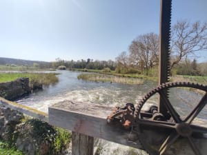Le prieuré de Douy - Cloyes-les-Trois-Rivières - 2