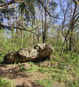 Le prieuré de Douy - Cloyes-les-Trois-Rivières - 4