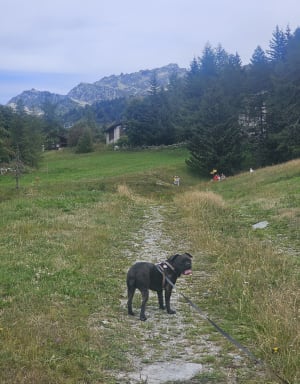Tour du golf des Arcs 1800 - Bourg-Saint-Maurice - 17