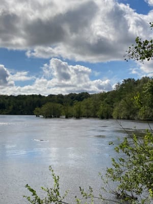 Mare à Goriaux et ses nombreux trésors à découvrir - Valenciennes - 4