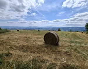 Sentier des crêtes - Ville-sur-Jarnioux - 17