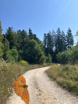 L'Abergement - Salève - Cruseilles - 4