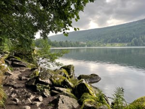 Korte tocht tussen waterval en Mérelle Head - Gerardmer - 13