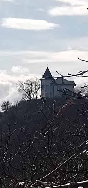 Circuit avec le Castor et la chapelle - La Chapelle-du-Mont-du-Chat - 18