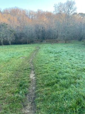 D'un château à l'autre, Bouliac, ses forêts et coteaux - Bouliac - 8